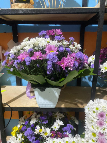 Toko Bunga Terbesar King Florist rumahdukajekanrayapalangkaraya – Pilihan Utama Florist Profesional 